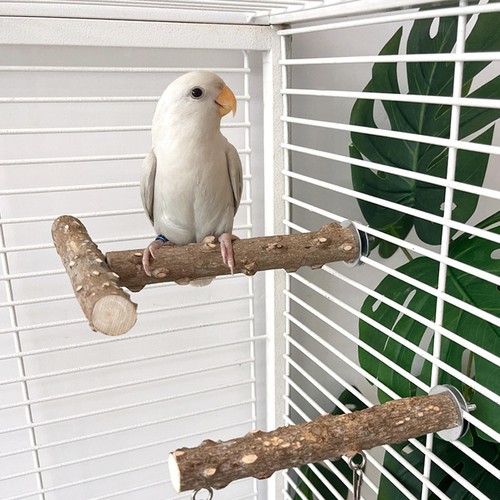 Käfig papagei sitzstange - käfig, 4
