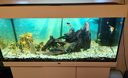Juwel komplettaquarium 200 - juwel, l