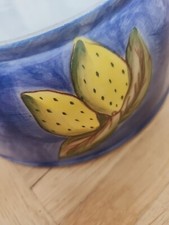 Studio nova star - "lemon, fish"