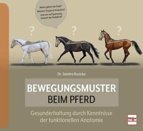 Bewegungsmuster beim pferd - bewegungsmuster, |