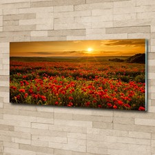 Glas bild wandbilder druck auf - glas-bild,