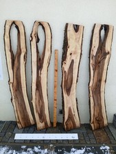 kernfaules Nussbaum WALNUSS