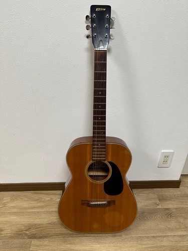 Elite takamine akustikgitarre - elite,