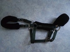 Halfter Equestrian Stockholm