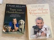 Cesar Millan Gesundheit