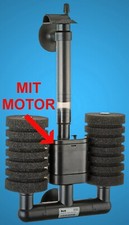 TOP 🍀 DOPPEL BIO MOTOR