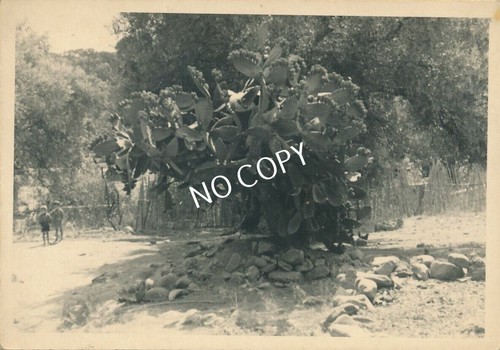 Foto kreta kinder - foto,