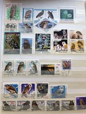 Sammlung Eulen auf gr. 2 Albumseiten