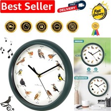 Singvogel wanduhr mit - singvogel,