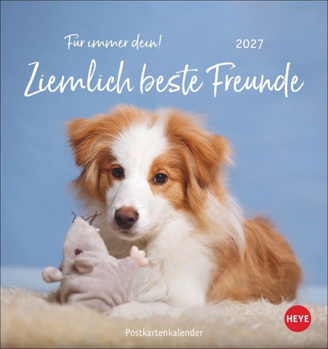 Ziemlich beste freunde - ziemlich,