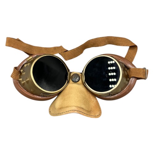 Gletscherbrille