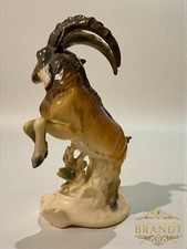 Karl ENS Steinbock mit