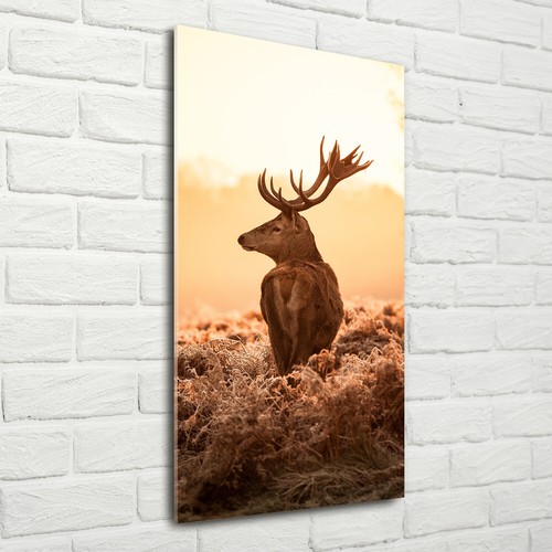 Wand bild kunstdruck aus - wand-bild,