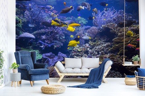 Meer fisch q2944 - fisch, tapete