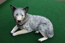 Wolf lebensgroß liegend Wolf