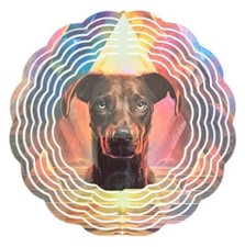 Edelstahl 3D Windspiel Windspinner 20cm Hund Deutsch Kurzhaar Bunt WI80