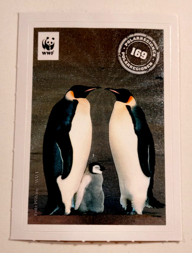 Wwf polarregionen nr - nr., 169