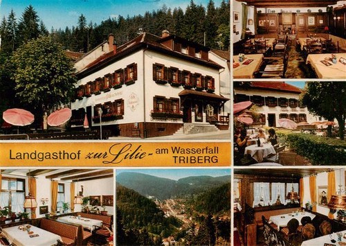 Triberg landgasthof zur lilie - landgasthof,