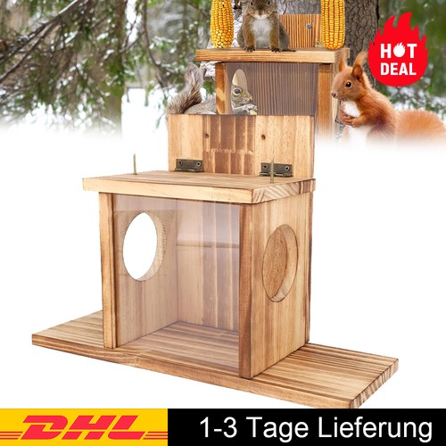 Eichhörnchen futterhaus - eichhörnchen,