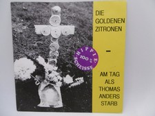 Die Goldenen Zitronen, Am Tag