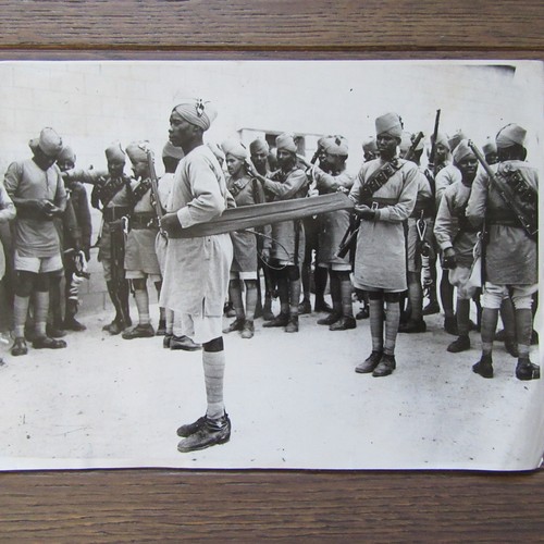 Pressefoto 1940 camel - 1940, corps