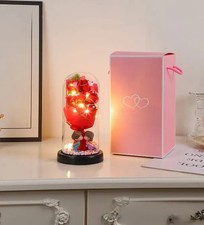 Blumenstrauß Seifenblume