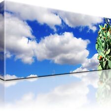 Kaktus Himmel Bild Bilder Leinwand Keilrahmen Wandbild Kunstdruck