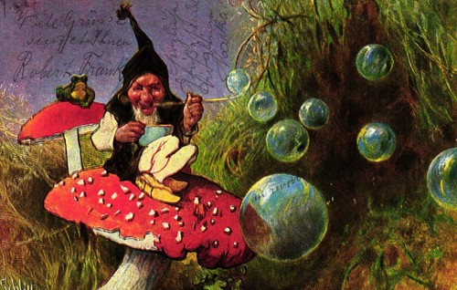 Zwerg fliegenpilz frosch - fliegenpilz,,