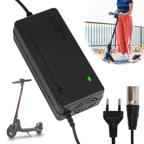 Scooter ladegeräte 42v - scooter, 2a