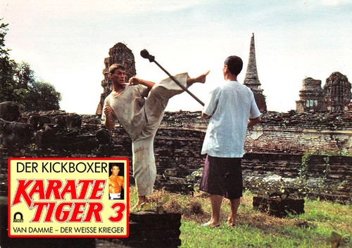 Karate tiger der kickboxer - 3,