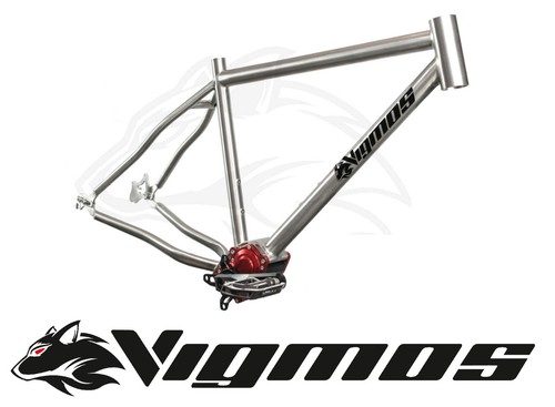 Pinion titan rahmen frame mtb - pinion,