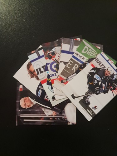 Del playercards iserlohn - del, 24/25