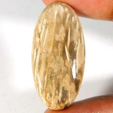 Indonesien VERSTEINER Palmenachat ovale Form NATUR lose Edelsteine 33x17x05...