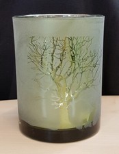 Windlicht Glas Hirsch Baum