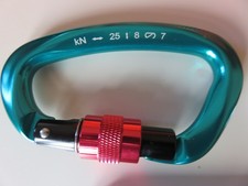 6 Karabiner [NEU UND UNBENUTZT] + Beutel Klettern Bergsteigen