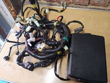 CECTEK Herkules Gladiator EFI T5 500 ORIGINAL Kabelbaum Elektronik Kompl. Kabel