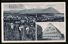 AK Linsenhofen, Ortsansicht mit Weinlese und Hohenneuffen, Gasthof und Pension  