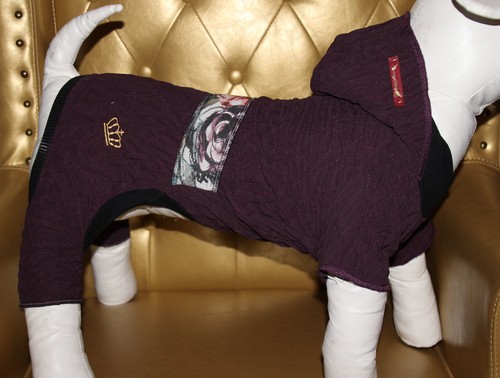 4899_Angeldog_Hundekleidung_Hu
