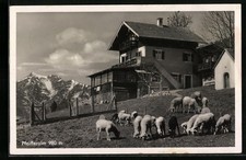 Ansichtskarte Garmisch, Gasthaus Pfeifferalm 