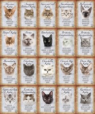 Top-Schilder, versch