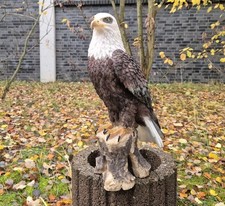 Figur adler weißkopfseeadler - adler,