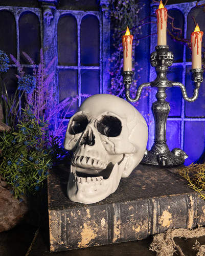 Deko totenkopf mit beweglichem - deko,
