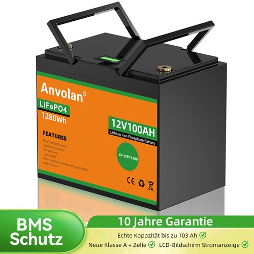 Lcd anzeige akku - lcd-anzeige, 100ah