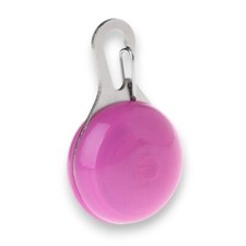 Hunde Leuchtanhänger