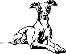 WHIPPET Aufkleber - Whippet