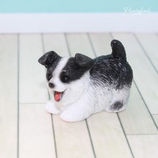 Miniatur Hund Border Collie