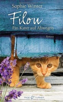 Filou ein kater auf - auf, abwegen