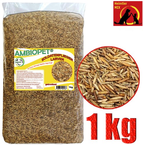 Soldatenfliegenlarven 1kg wie