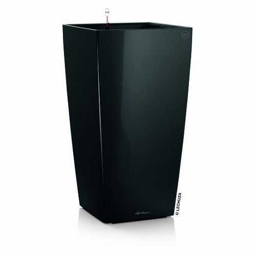 Lechuza cubico premium - premium, 30