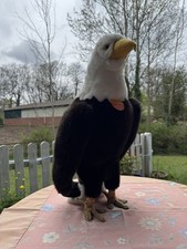 Original Steiff Weißkopfadler